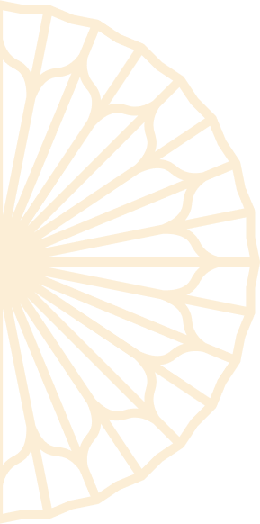 Layer_1 (2)
