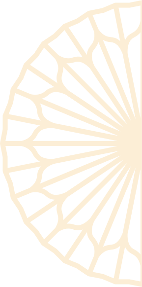 Layer_1 (2)